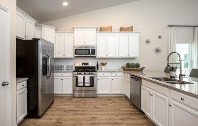 Annandale Kitchen Pic 2