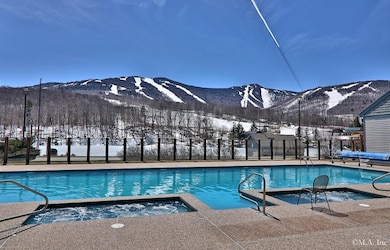 228 E Mountain Rd unit D DRMR GRAND HOTEL 3, Killington, VT 05751 - photo 3