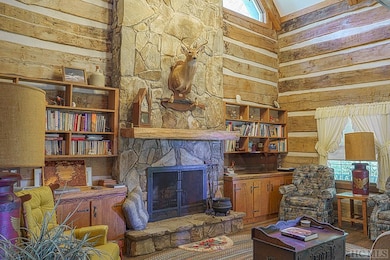 451 Buck Knob Rd, Scaly Mountain, NC 28775 - photo 7