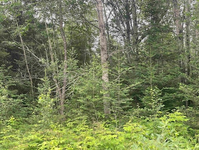 0 W Miller Rd unit 50168811, Mio, MI 48647 - photo 2