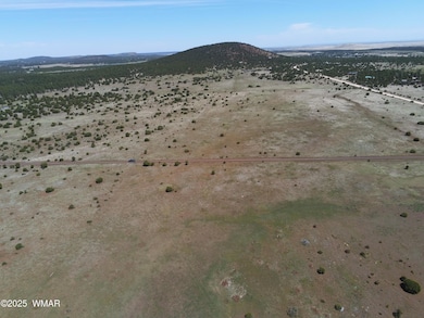 0 N3262, Vernon, AZ 85940 - photo 2