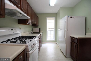 10118 Oakton Terrace Rd unit 10118, Oakton, VA 22124 - photo 5