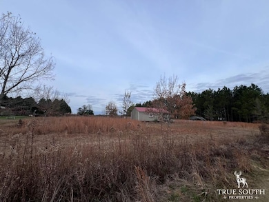 0 Hunters Rd unit 25764201, Sylvania, GA 30467 - photo 6