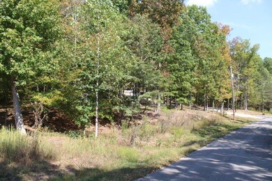 14 Haynes Knob Rd, Somerset, KY 42501 - photo 2