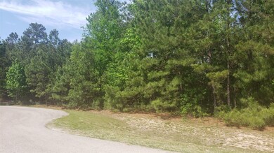 28002 Vuskou Ct, Spring, TX 77386 - photo 3