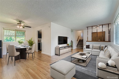 12865 Clermont St, Thornton, CO 80241 - photo 5