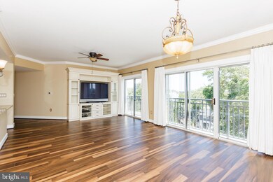 Residences at Park Place unit 706, Annapolis, MD 21401 - photo 4