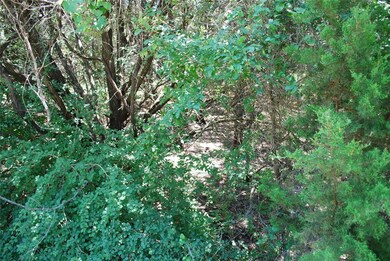 41006 Flagstone Cir, Whitney, TX 76692 - photo 7