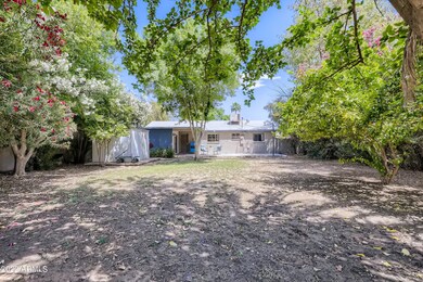 21 Back Yard
