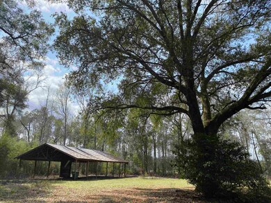 345 Royal Oak Ct, Crawfordville, FL 32327 - photo 7