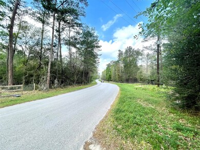 0000 Little John Cir, Hockley, TX 77447 - photo 4