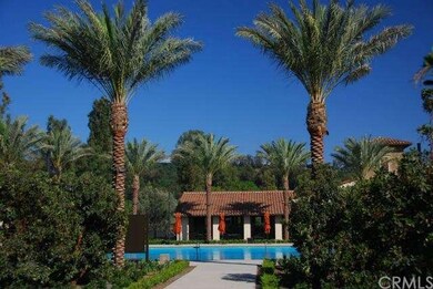 Junior Olympic Swimming Pool at The Resort