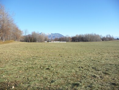 View 4