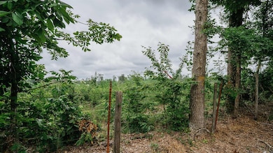 172 Lisbon Rd, SMacKover, AR 71762 - photo 6