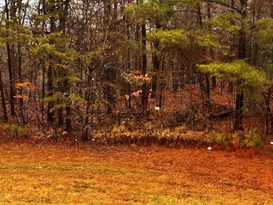 000 Talona Rd, Ellijay, GA 30540 - photo 7