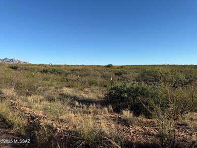 1268 E Cougar Trail unit 123, St. David, AZ 85630 - photo 7
