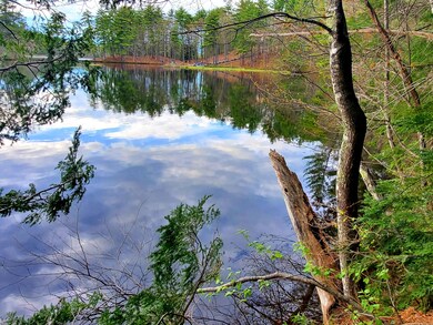 lakefront3