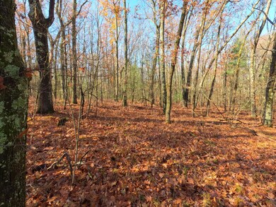 V/L Woodland Park Lots 5 To 9, Bitely, MI 49309 - photo 7