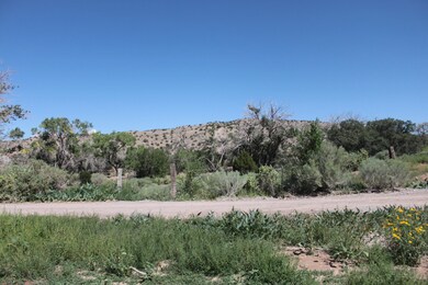 1 Calle Taraddei, Placitas, NM 87043 - photo 5