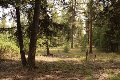 27603 Issac Creek Rd, Huson, MT 59846 - photo 3