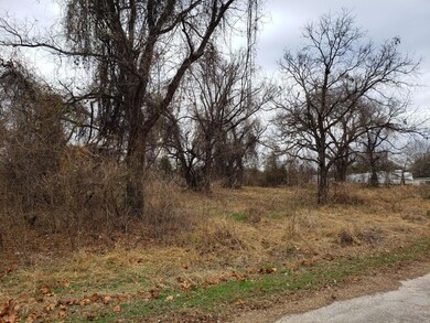 146 Pawnee Trail, Horseshoe Bend, TX 76087 - photo 3