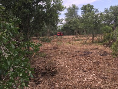 0000 Childs, Alvin, TX 77511 - photo 3