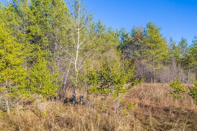 L11, B1 Meadow Ct, Baxter, MN 56425 - photo 5