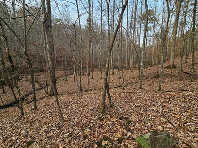 0 Garnet Dr unit 420452, Ellijay, GA 30540 - photo 4