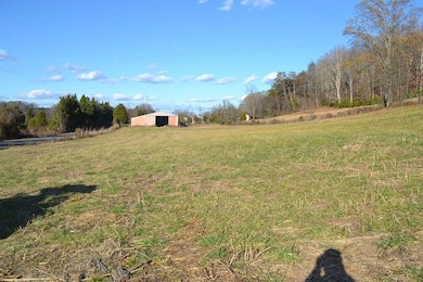 90+/-Acres Old Rhea Springs Rd, Spring City, TN 37381 - photo 2