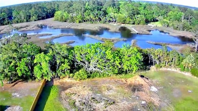 1139 River Oaks Rd, Brunswick, GA 31523 - photo 2