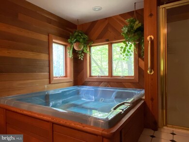 343 Beaver Dam Woods Dr, Berkeley Springs, WV 25411 - photo 5