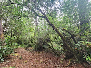 0 Sand Dune Park Dr unit TL 800 254608161, Florence, OR 97439 - photo 3