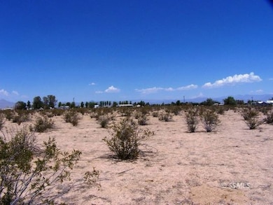 352-390-06 Jujube, Inyokern, CA 93527 - photo 5