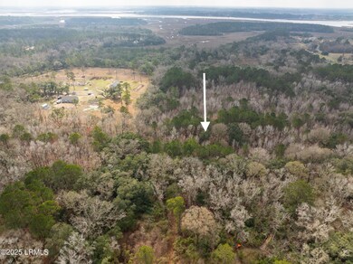 Tbd Morgan Rd, Seabrook, SC 29940 - photo 3