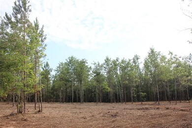 0 Fm 2251 Lot 1 unit 29919240, Lufkin, TX 75904 - photo 3