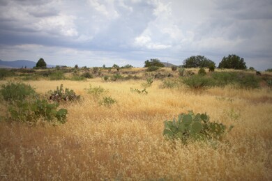 Main view past bushes