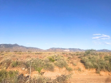 Na, Dolan Springs, AZ 86441 - photo 3