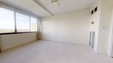 250 Hammond Pond Pkwy unit 1108S, Chestnut Hill, MA 02467 - photo 7