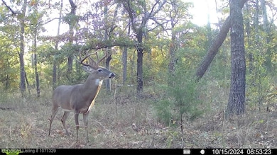 Tract 5 SE 179th, Wilburton, OK 74578 - photo 2