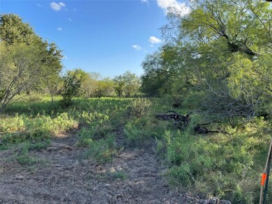 140 Tobiano Trace, Brock, TX 76087 - photo 3