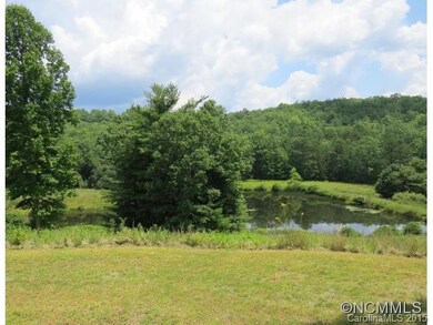 Pond view from porch