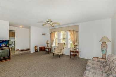 Large Formal Living Room Open From Tiled Entry