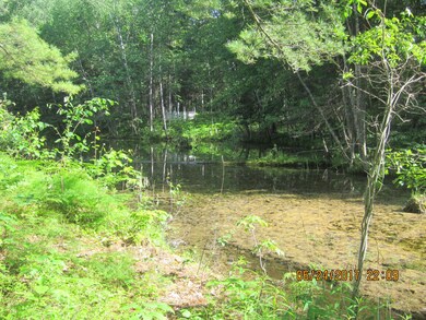 pond