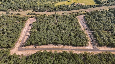 Aerial view of property and surrounding area with a forest