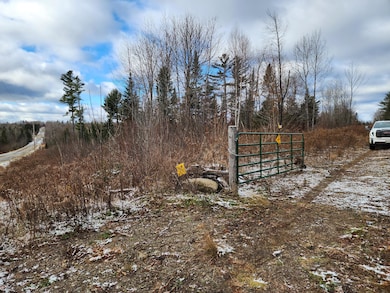 Lot 2 Greenleaf Brook Rd, Amity, ME 04471 - photo 5