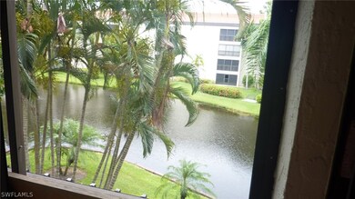 Tropical lake view from lanai