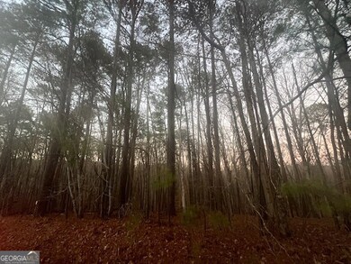 127 Long Shoals Ave, Eatonton, GA 31024 - photo 6