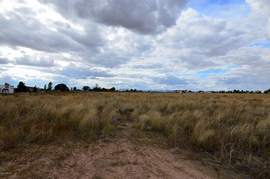 0 N Sunhawk Rd unit 1028938, Paulden, AZ 86334 - photo 4