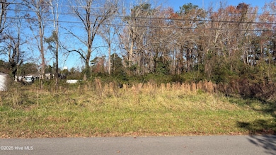 0 Railroad St, Belhaven, NC 27810 - photo 3