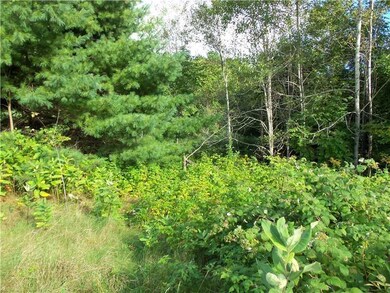 0 Lawrence St, Lisbon, ME 04252 - photo 6